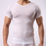 2015 Men Sexy Fitness Bodybuilding Ultra-thin Short Sleeves T Shirts